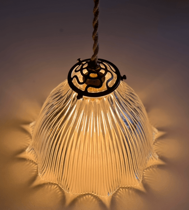 Suspension ou baladeuse Holophane fil corde